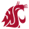 Washington State logo