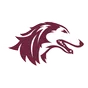 Southern Illinois logo