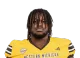 DeShawn Robinson headshot