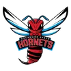 Delaware State logo