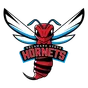 Delaware State logo