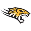 Towson logo