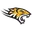 Towson logo