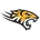 Towson logo