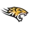 Towson logo