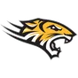Towson logo