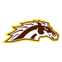 Western Michigan logo