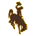 Wyoming logo