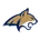 Montana State logo