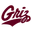 Montana logo