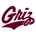 Montana logo