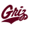 Montana logo