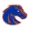 Boise State logo