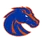 Boise State logo
