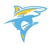 Long Island University logo