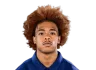 Marquese Williams headshot