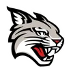 Davidson logo