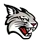 Davidson logo