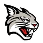 Davidson logo