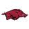Arkansas logo