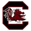 South Carolina logo